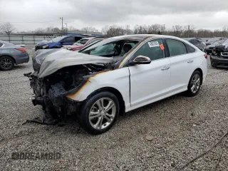 2019 Hyundai Sonata SEL with VIN 5NPE34AF1KH762699, listed as a Copart auction lot 49857895 with Not Provided miles and Non Repairable. Bid and sale history available at DreamBid. Image 1.