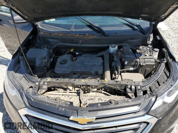 2019 Chevrolet Equinox LS with VIN 2GNAXHEV4K6255075, listed as a Copart auction lot 52241915 with 79,438 mi miles and Salvage Title. Bid and sale history available at DreamBid. Image 13.