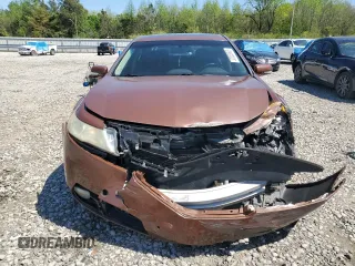 2009 Acura TL Tech with VIN 19UUA86519A003840, listed as a Copart auction lot 52365865 with 256,973 mi miles and Clean Title. Bid and sale history available at carsss.com. Image 5.