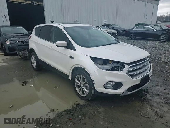 2017 Ford Escape SE with VIN 1FMCU0GD6HUC64348, listed as a Copart auction lot 49464525 with 82,273 mi miles and Salvage Title. Bid and sale history available at DreamBid. Image 15.