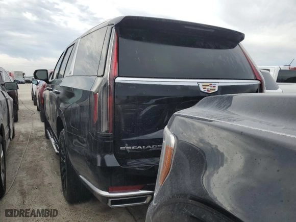 2023 Cadillac Escalade RWD Premium Luxury with VIN 1GYS3BKLXPR408332, listed as a Copart auction lot 74139724 with 0 mi miles and Non Repairable. Bid and sale history available at carsss.com. Image 6.