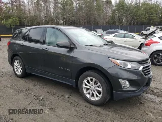 2019 Chevrolet Equinox LS with VIN 3GNAXSEV2KS607889, listed as a Copart auction lot 85197654 with 119,058 mi miles and Salvage Title. Bid and sale history available at DreamBid. Image 4.