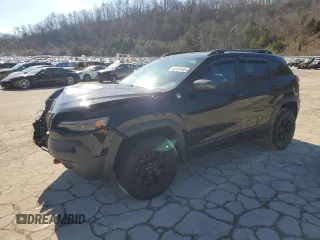2021 Jeep Cherokee Trailhawk with VIN 1C4PJMBX6MD110109, listed as a Copart auction lot 45343445 with 93,124 mi miles and Salvage title. Bid and sale history available at DreamBid. Image 1.