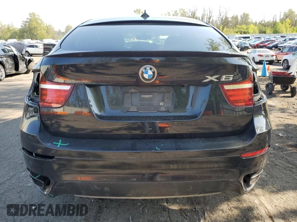 2013 BMW X6 xDrive50i z VIN 5UXFG8C5XDL591761, wystawiony jako Copart lot #54182645 z przebiegiem 117 250 mil mil oraz Szkoda całkowita • Salvage title. Historia ofert i sprzedaży dostępna na DreamBid. Obrazek 6.