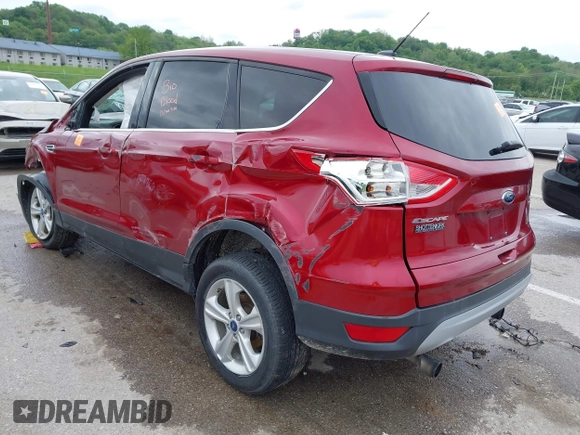 2013 Ford Escape SE with VIN 1FMCU9GX1DUD17613, listed as a IAAI auction lot 42176406 with Not provided miles and . Bid and sale history available at DreamBid. Image 3.