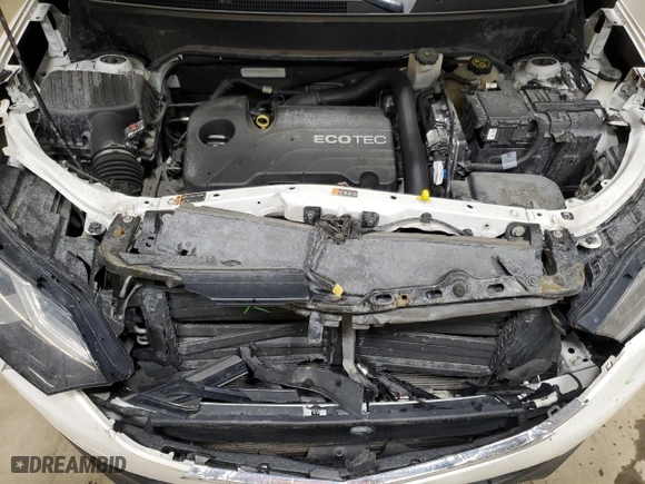 2018 Chevrolet Equinox LT with VIN 3GNAXSEV4JL119729, listed as a Copart auction lot 49162265 with 113,116 mi miles and Salvage Title. Bid and sale history available at carsss.com. Image 12.