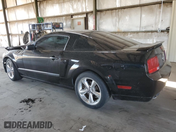 2007 Ford Mustang GT Deluxe with VIN 1ZVHT82H175269324, listed as a Copart auction lot 53124235 with Not Provided miles and Salvage Title. Bid and sale history available at carsss.com. Image 2.