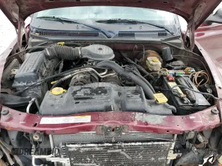 2003 Dodge Dakota with VIN 1D7FL16XX3S354070, listed as a Copart auction lot 42445675 with 206,311 mi miles and Clean Title. Bid and sale history available at carsss.com. Image 11.