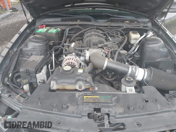 2007 Ford Mustang Deluxe with VIN 1ZVFT80N175365857, listed as a IAAI auction lot 42512673 with 136,145 mi miles and . Bid and sale history available at DreamBid. Image 10.