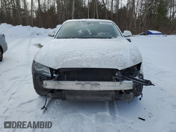 2009 Audi A4 z VIN WAULF68K19N030271, wystawiony jako Copart lot #89369625 z przebiegiem 231 592 mil mil oraz Szkoda całkowita • Salvage title. Historia ofert i sprzedaży dostępna na DreamBid. Obrazek 5.