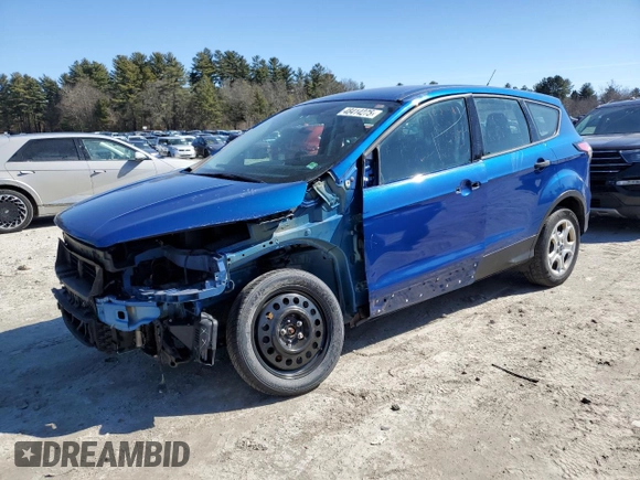 2017 Ford Escape S with VIN 1FMCU0F75HUF00225, listed as a Copart auction lot 48414275 with 132,282 mi miles and Salvage Title. Bid and sale history available at carsss.com. Image 1.