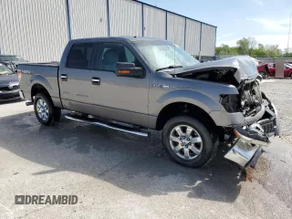 2013 Ford F-150 XL with VIN 1FTFW1EF3DFD32612, listed as a Copart auction lot 53959375 with 226,716 mi miles and Non repairable. Bid and sale history available at DreamBid. Image 4.