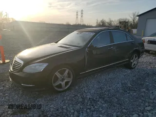 2010 Mercedes-Benz S 550 with VIN WDDNG8GB9AA316926, listed as a Copart auction lot 49165755 with Not Provided miles and Salvage Title. Bid and sale history available at DreamBid. Image 1.