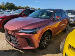 2023 Lexus RX with VIN 2T2BAMBA0PC006735, listed as a Copart auction lot 73767324 with Not Provided miles and Salvage Title. Bid and sale history available at carsss.com. Image 1.