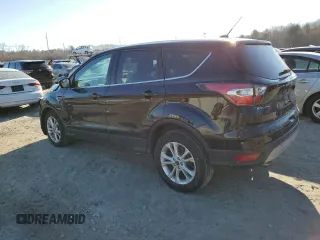 2017 Ford Escape SE with VIN 1FMCU9GD0HUD01592, listed as a Copart auction lot 88724565 with 110,255 mi miles and Salvage Title. Bid and sale history available at DreamBid. Image 2.