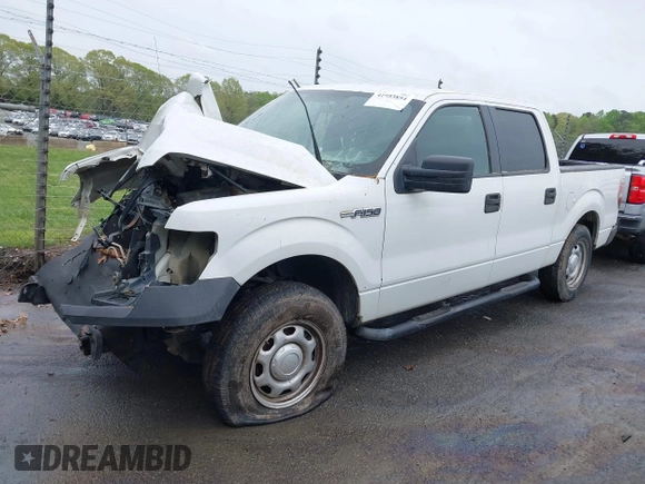 2013 Ford F-150 XL with VIN 1FTFW1CF1DKE95110, listed as a IAAI auction lot 41953854 with 1 mi miles. Bid and sale history available at carsss.com. Image 17.