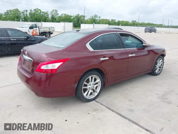 2009 Nissan Maxima SV with VIN 1N4AA51E89C841882, listed as a IAAI auction lot 42146151 with 132,425 mi miles and . Bid and sale history available at DreamBid. Image 4.