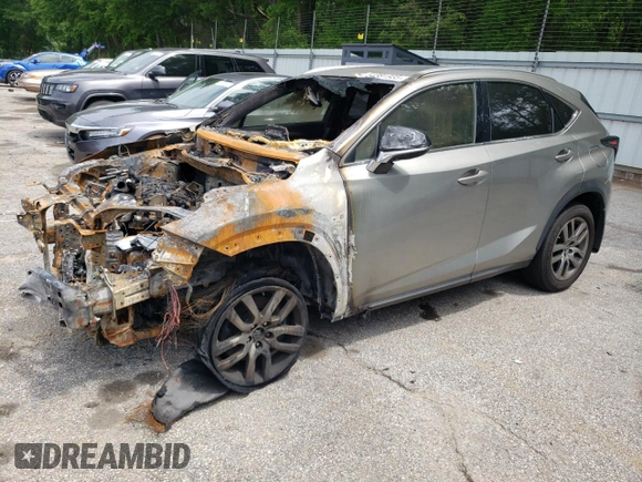 2019 Lexus NX 300 with VIN JTJBARBZ2K2189373, listed as a Copart auction lot 54381935 with Not provided miles and Salvage title. Bid and sale history available at DreamBid. Image 1.