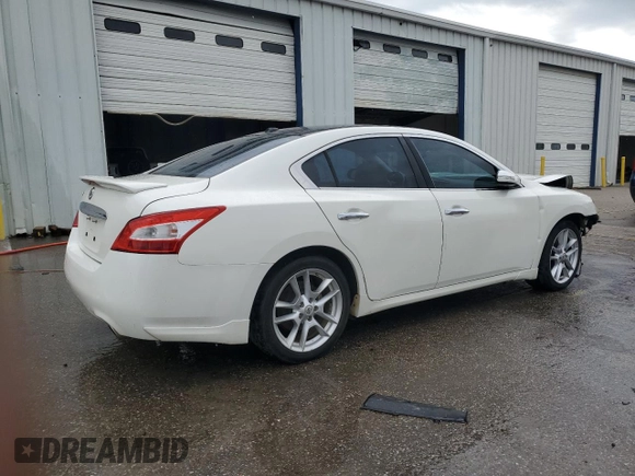 2011 Nissan Maxima SV с VIN 1N4AA5AP9BC853014, выставлен на аукционе Copart как лот 55259035 с пробегом 201 548 миль миль и Списание • Salvage title. История ставок и продаж доступна на DreamBid. Изображение 3.