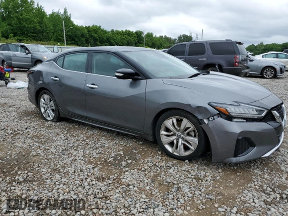 2022 Nissan Maxima SV with VIN 1N4AA6CV7NC505556, listed as a Copart auction lot 56204185 with 52,160 mi miles and Salvage title. Bid and sale history available at DreamBid. Image 4.