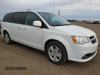 2017 Dodge Grand Caravan Crew Plus with VIN 2C4RDGDG5HR883784, listed as a Copart auction lot 76917194 with 189,001 mi miles and Clean Title. Bid and sale history available at DreamBid. Image 4.