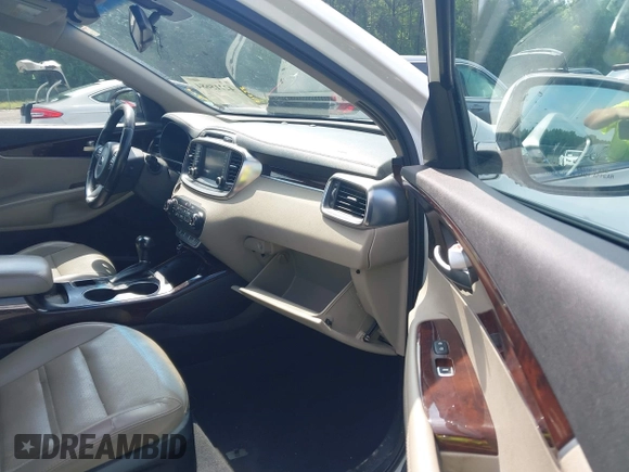 2017 Kia Sorento EX with VIN 5XYPH4A59HG300957, listed as a IAAI auction lot 42215684 with 220,309 mi miles and . Bid and sale history available at DreamBid. Image 5.