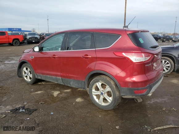 2014 Ford Escape SE with VIN 1FMCU0GXXEUB27693, listed as a Copart auction lot 46905515 with 47,609 mi miles and Clean Title. Bid and sale history available at carsss.com. Image 2.