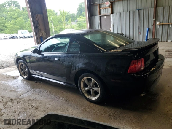 2002 Ford Mustang GT Deluxe with VIN 1FAFP42X82F155649, listed as a Copart auction lot 64041995 with Not provided miles and Salvage title. Bid and sale history available at DreamBid. Image 2.