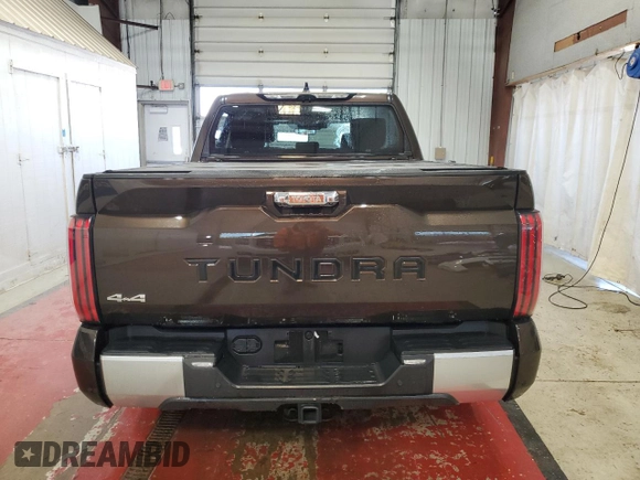 2023 Toyota Tundra Limited with VIN 5TFJA5DB2PX088190, listed as a Copart auction lot 78568164 with 10,932 mi miles and Salvage title. Bid and sale history available at DreamBid. Image 6.
