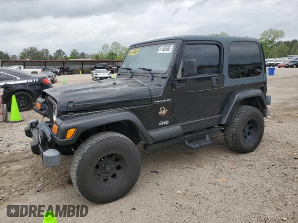 2002 Jeep Wrangler Sahara with VIN 1J4FA59S22P771136, listed as a Copart auction lot 51528665 with 236,882 mi miles and Salvage title. Bid and sale history available at DreamBid. Image 1.