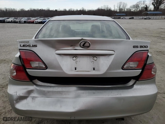 2003 Lexus ES 300 with VIN JTHBF30G736014368, listed as a Copart auction lot 48134145 with 183,463 mi miles and Salvage Title. Bid and sale history available at carsss.com. Image 6.