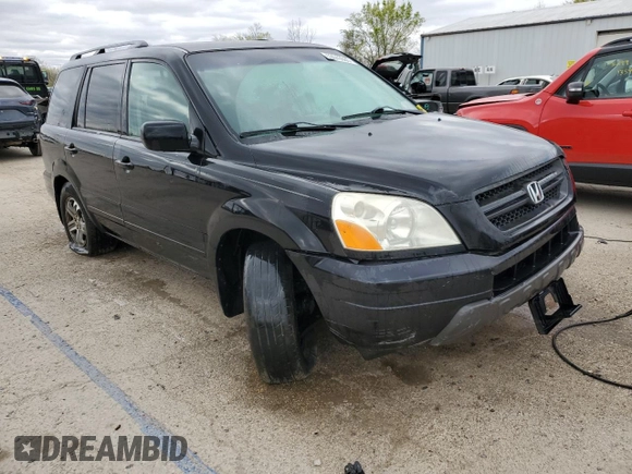 2005 Honda Pilot EX with VIN 5FNYF18495B001591, listed as a Copart auction lot 53043035 with 181,887 mi miles and Salvage Title. Bid and sale history available at carsss.com. Image 4.