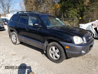 2006 Hyundai Santa Fe GLS with VIN KM8SC13D96U102107, listed as a Copart auction lot 55525594 with 198,741 mi miles and Salvage Title. Bid and sale history available at carsss.com. Image 4.