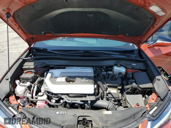 2020 Lexus UX 250h with VIN JTHX9JBH0L2036355, listed as a Copart auction lot 55533685 with 36,938 mi miles and Salvage title. Bid and sale history available at DreamBid. Image 11.
