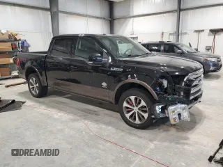 2016 Ford F-150 XLT with VIN 1FTEW1EG6GFA30417, listed as a Copart auction lot 62717765 with 125,726 mi miles and Salvage title. Bid and sale history available at DreamBid. Image 4.