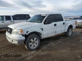 2004 Ford F-150 XLT with VIN 1FTRW14W34KC28529, listed as a Copart auction lot 84161624 with 0 mi miles and Clean Title. Bid and sale history available at carsss.com. Image 1.