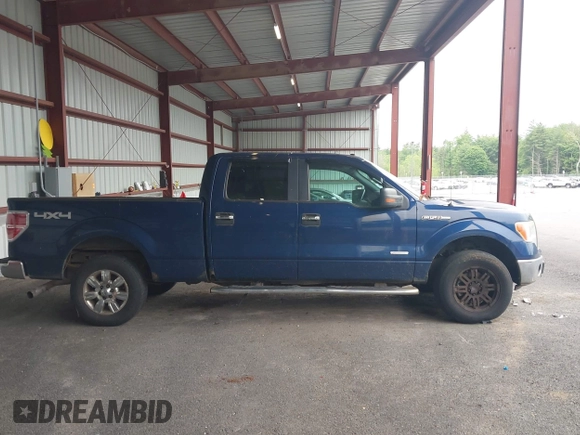 2011 Ford F-150 XLT with VIN 1FTFW1ET2BFC09435, listed as a IAAI auction lot 42514253 with 302,362 mi miles and . Bid and sale history available at DreamBid. Image 13.