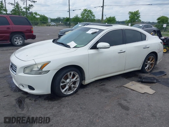 2013 Nissan Maxima S with VIN 1N4AA5AP5DC816187, listed as a IAAI auction lot 42092038 with 158,079 mi miles and . Bid and sale history available at DreamBid. Image 2.