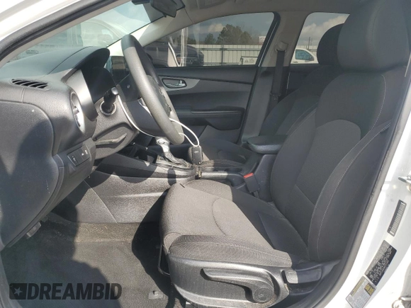 2019 Kia Forte LXS with VIN 3KPF24AD5KE051369, listed as a Copart auction lot 48653295 with 84,520 mi miles and Non Repairable. Bid and sale history available at carsss.com. Image 7.