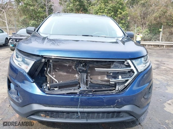 2017 Ford Edge SE with VIN 2FMPK4G9XHBC47309, listed as a IAAI auction lot 41750079 with 67,352 mi miles. Bid and sale history available at carsss.com. Image 6.