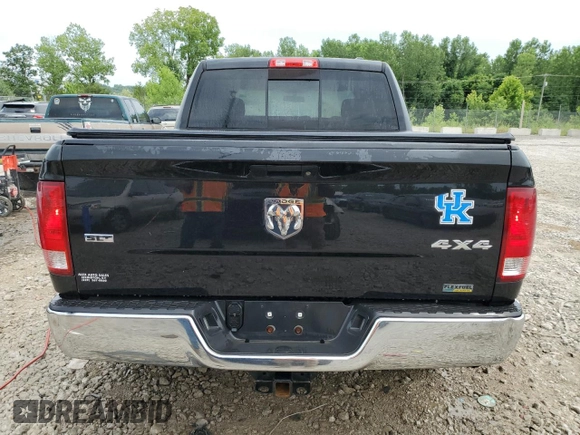 2010 Dodge 1500 SLT with VIN 1D7RV1CP1AS174131, listed as a Copart auction lot 60446704 with 164,653 mi miles and Non Repairable. Bid and sale history available at DreamBid. Image 6.