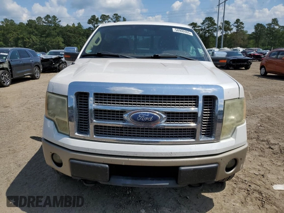 2010 Ford F-150 XL with VIN 1FTFW1EVXAKA38747, listed as a Copart auction lot 58900465 with 120,933 mi miles and Salvage title. Bid and sale history available at DreamBid. Image 5.
