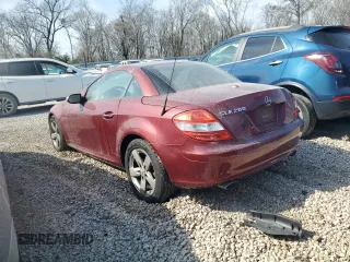 2007 Mercedes-Benz SLK-Class 3.0L with VIN WDBWK54F17F141102, listed as a Copart auction lot 46581855 with 0 mi miles and Salvage Title. Bid and sale history available at carsss.com. Image 2.