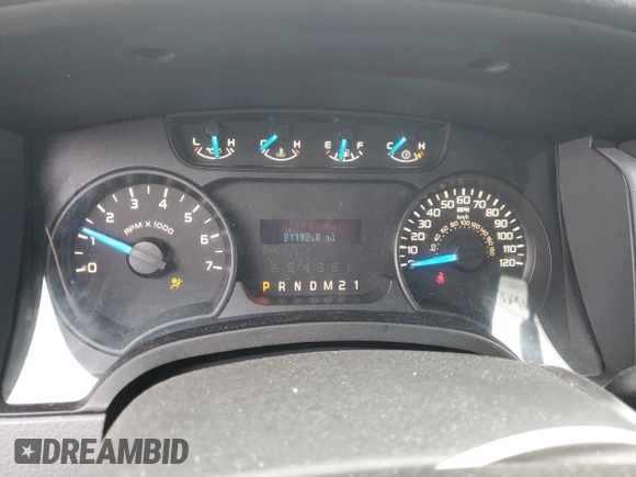 2013 Ford F-150 XL with VIN 1FTFX1EF8DFB65516, listed as a Copart auction lot 48166005 with 81,192 mi miles and Salvage Title. Bid and sale history available at carsss.com. Image 9.