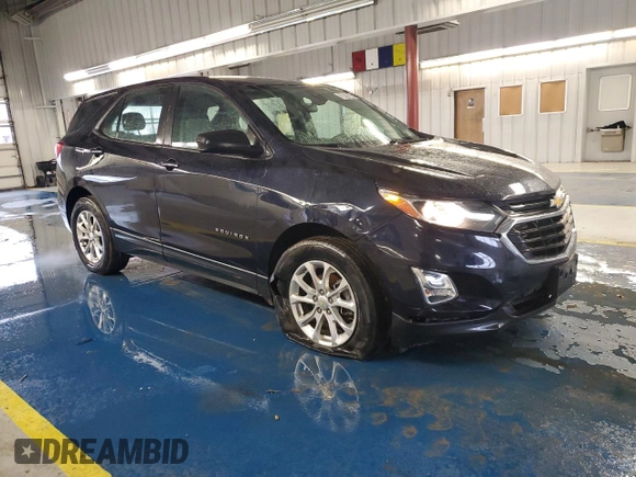 2020 Chevrolet Equinox LS with VIN 2GNAX5EV1L6209901, listed as a Copart auction lot 84914344 with 126,380 mi miles and Clean title. Bid and sale history available at DreamBid. Image 4.