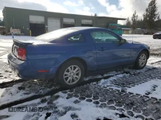 2008 Ford Mustang Deluxe with VIN 1ZVHT80N285119782, listed as a Copart auction lot 45427905 with 109,286 mi miles and Salvage Title. Bid and sale history available at carsss.com. Image 3.