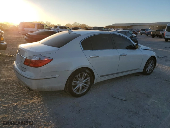 2010 Hyundai Genesis with VIN KMHGC4DF7AU105880, listed as a Copart auction lot 83982564 with 136,383 mi miles and Clean Title. Bid and sale history available at carsss.com. Image 3.