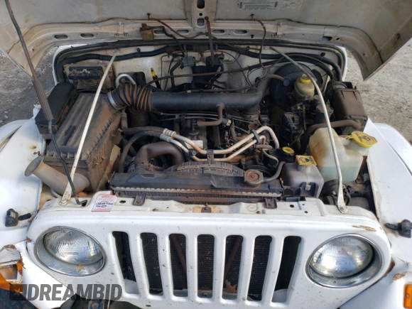 2001 Jeep Wrangler Sahara with VIN 1J4FA59SX1P338887, listed as a Copart auction lot 72835514 with 0 mi miles and Salvage Title. Bid and sale history available at carsss.com. Image 12.