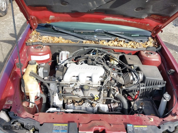 2002 Chevrolet Malibu LS with VIN 1G1NE52J02M546473, listed as a IAAI auction lot 41551575 with 83,193 mi miles. Bid and sale history available at carsss.com. Image 10.