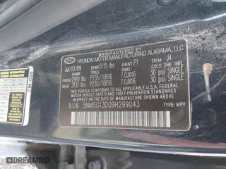 2009 Hyundai Santa Fe GLS with VIN 5NMSG13D09H299043, listed as a IAAI auction lot 41896495 with 208,263 mi miles. Bid and sale history available at carsss.com. Image 9.
